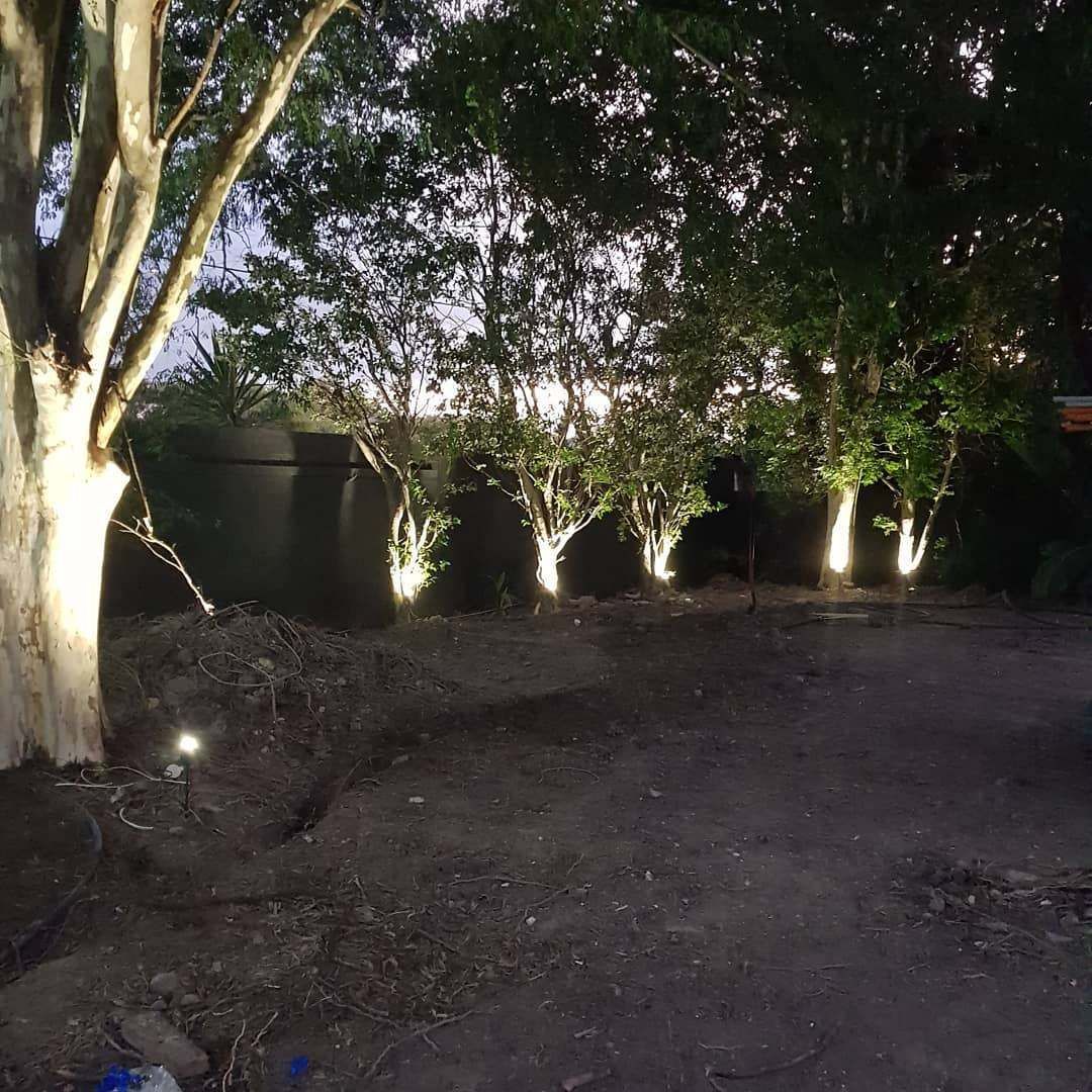 A Row of Trees Are Lit up At Night in A Backyard — Goldspark GC Electrical in Bundall, QLD