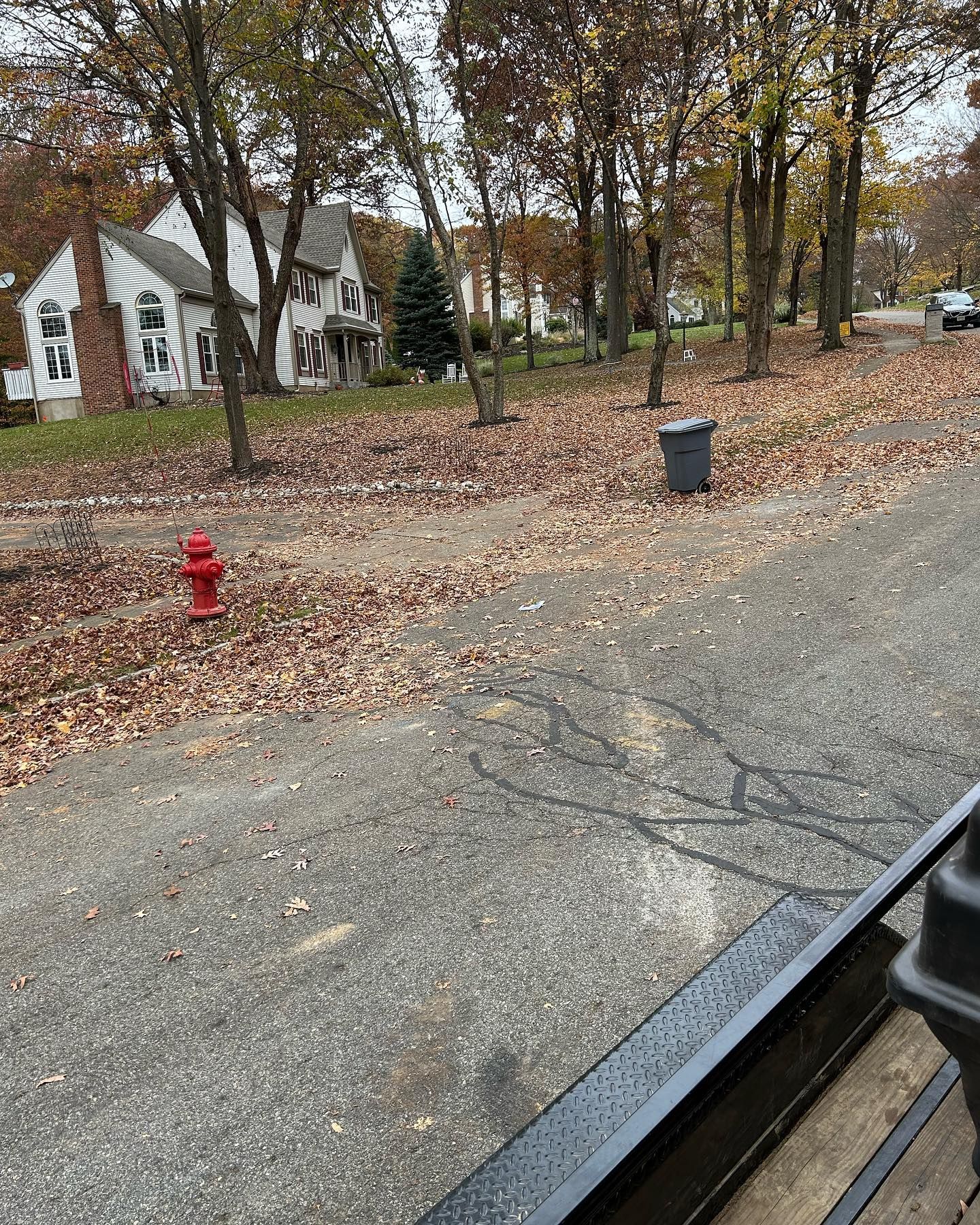A red fire hydrant is sitting on the side of a road in a park.