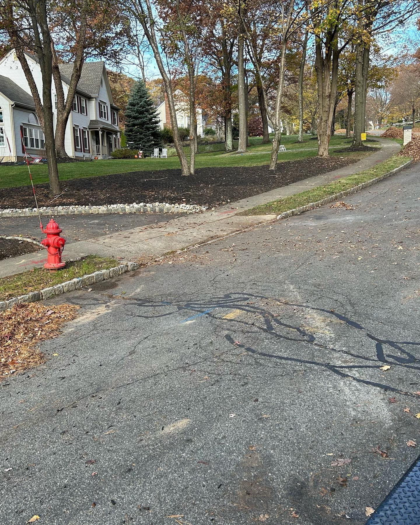 There is a red fire hydrant on the side of the road.