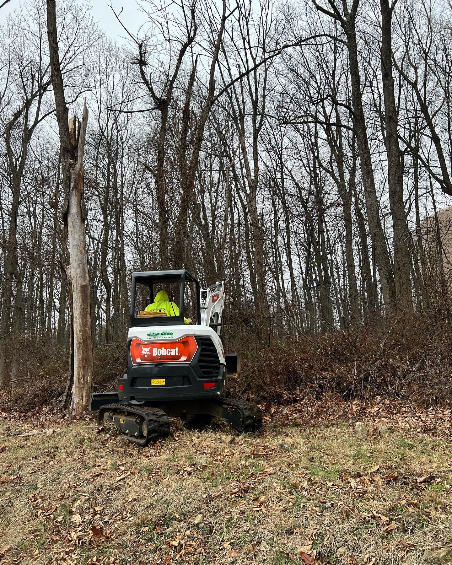 A man is driving a small excavator in the woods.