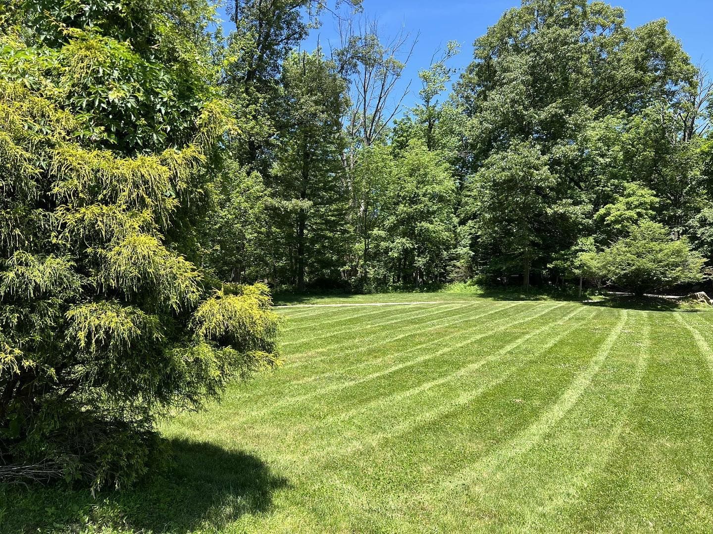 A lush green field surrounded by trees on a sunny day.