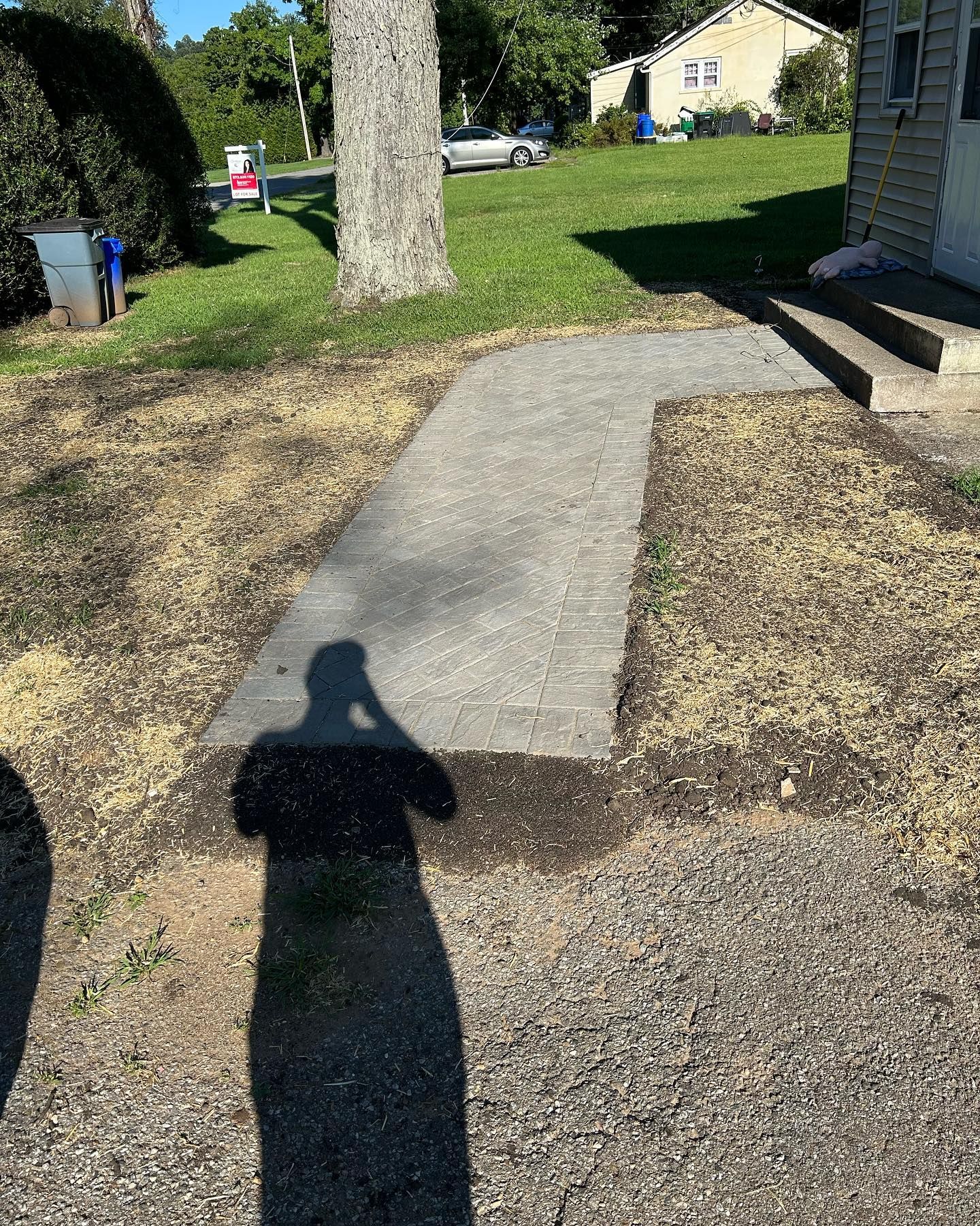 A shadow of a person is cast on a sidewalk in front of a house.