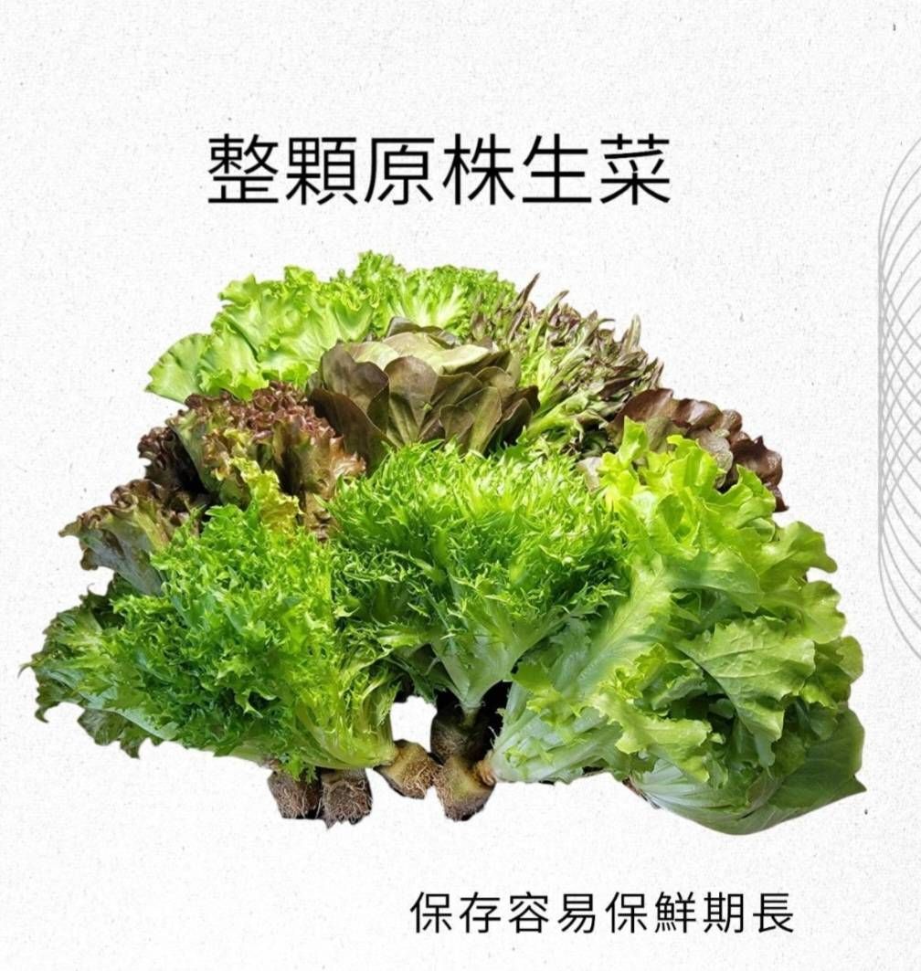 完美28天啟動窈窕計畫組合 【綜合原株綜合生菜包X4包 菜多多優惠組合】四週配送