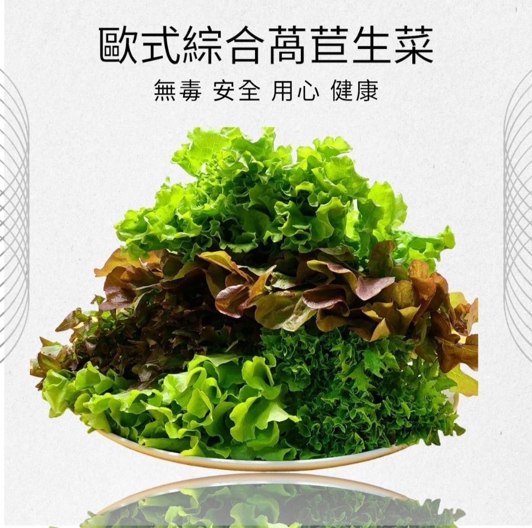 【陽光鮮活水耕生菜】歐式綜合生菜(單包)