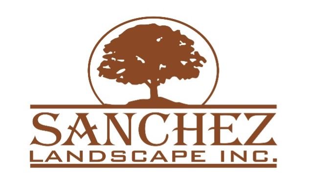 Sanchez Logo