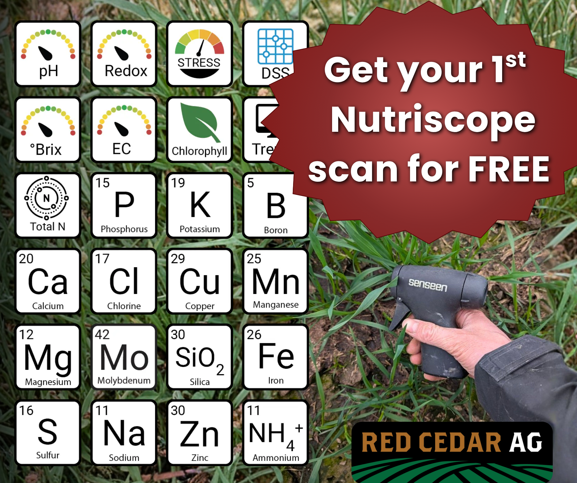 Get your 1st Nutriscope scan FREE at Red Cedar Ag
