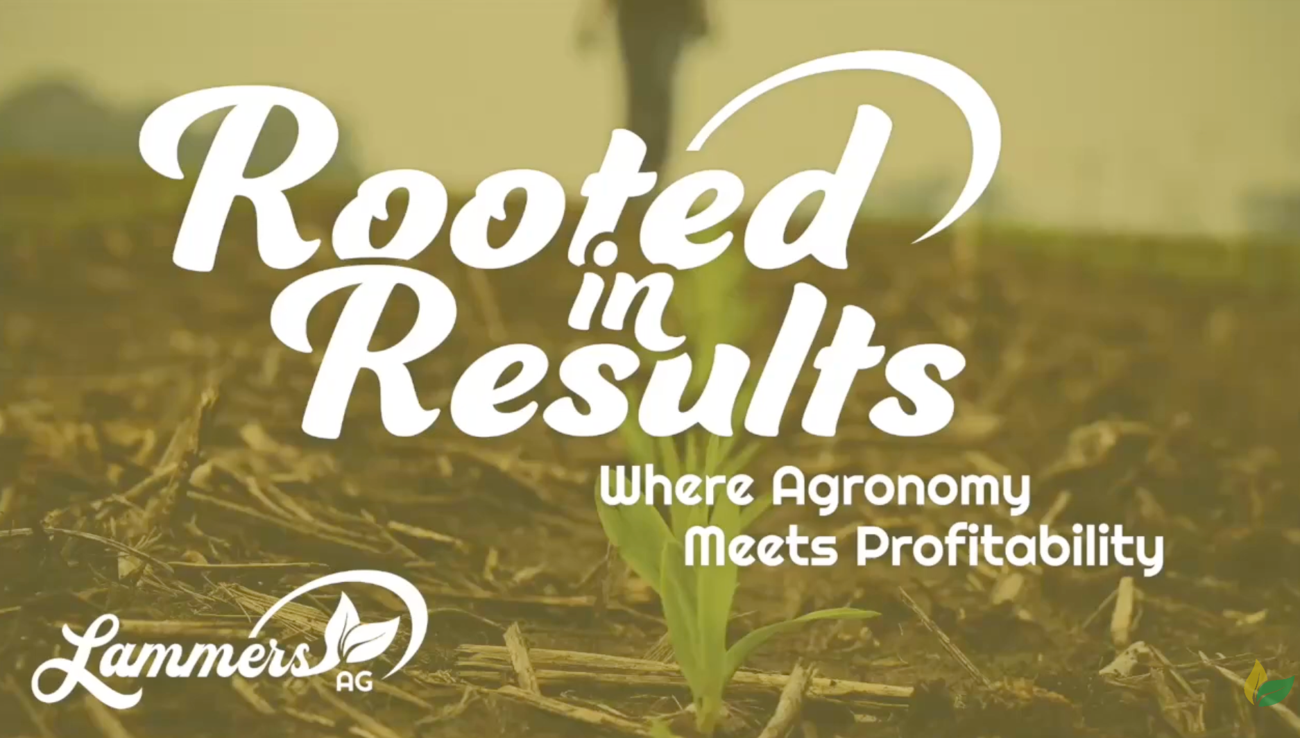 Rooted in Results: Where Agronomy Meets Profitability