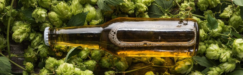 Beer bottle nestled in green hops with golden liquid and condensation