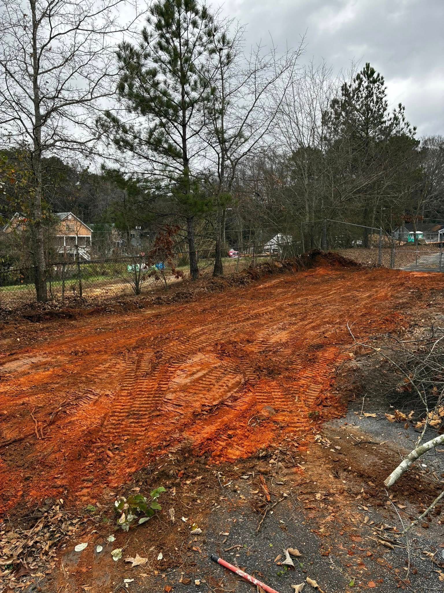 Orange mulch-covered ground in a wooded area under gray skies.