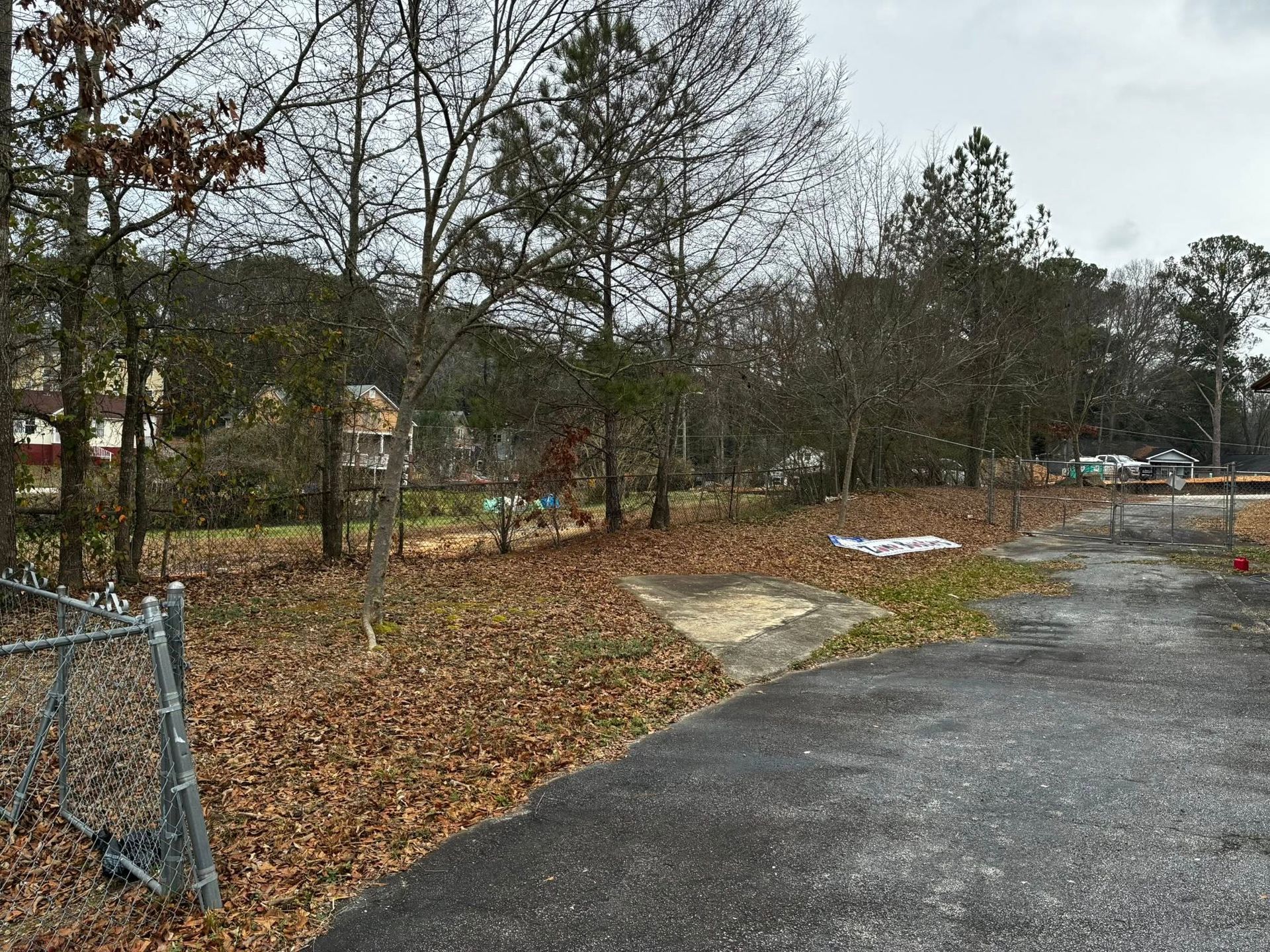 Leaf-covered roadside beside a chain-link fence and bare trees under an overcast sky