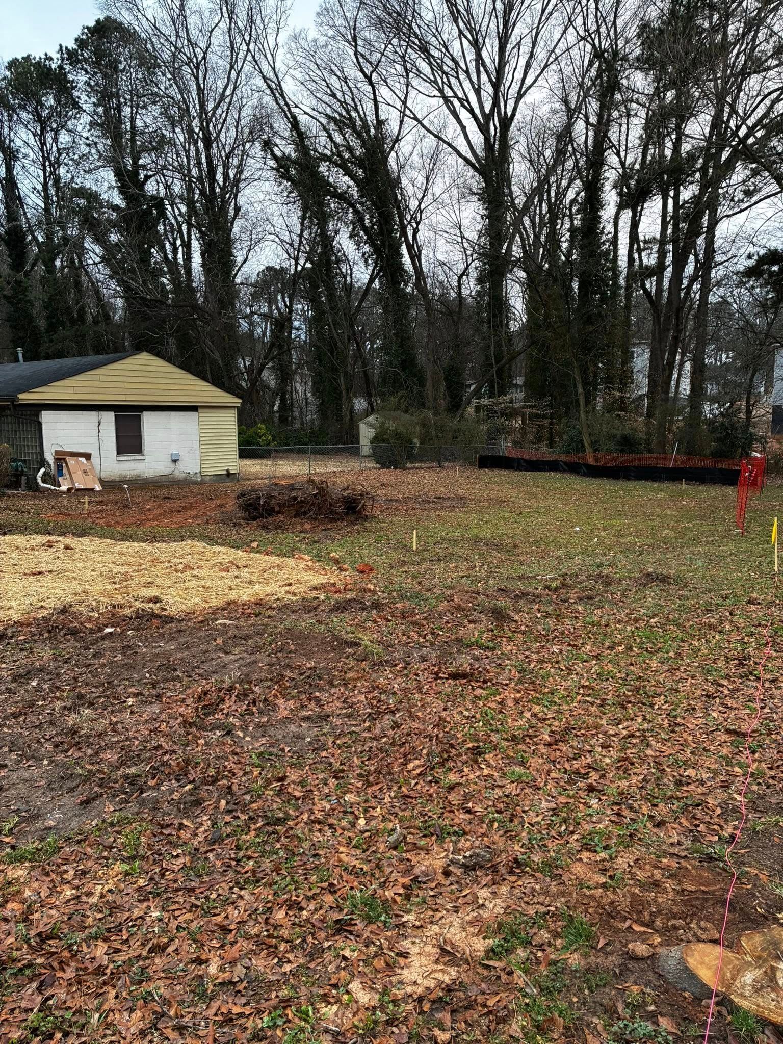 Leaf-covered yard with a small white shed, tall bare trees, and a red barrier in the background.