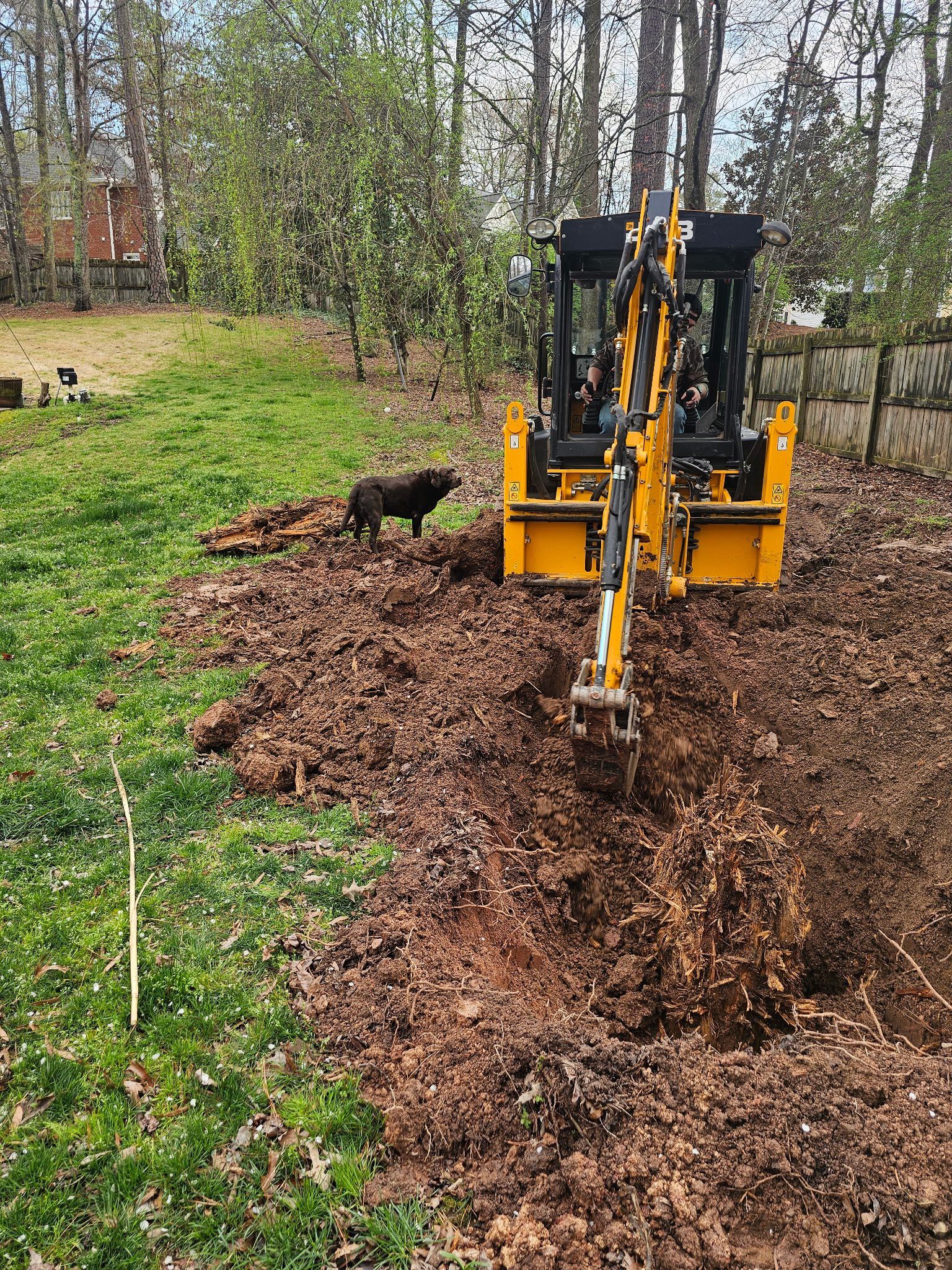 Yellow mini excavator digging a trench in a grassy yard beside a black dog
