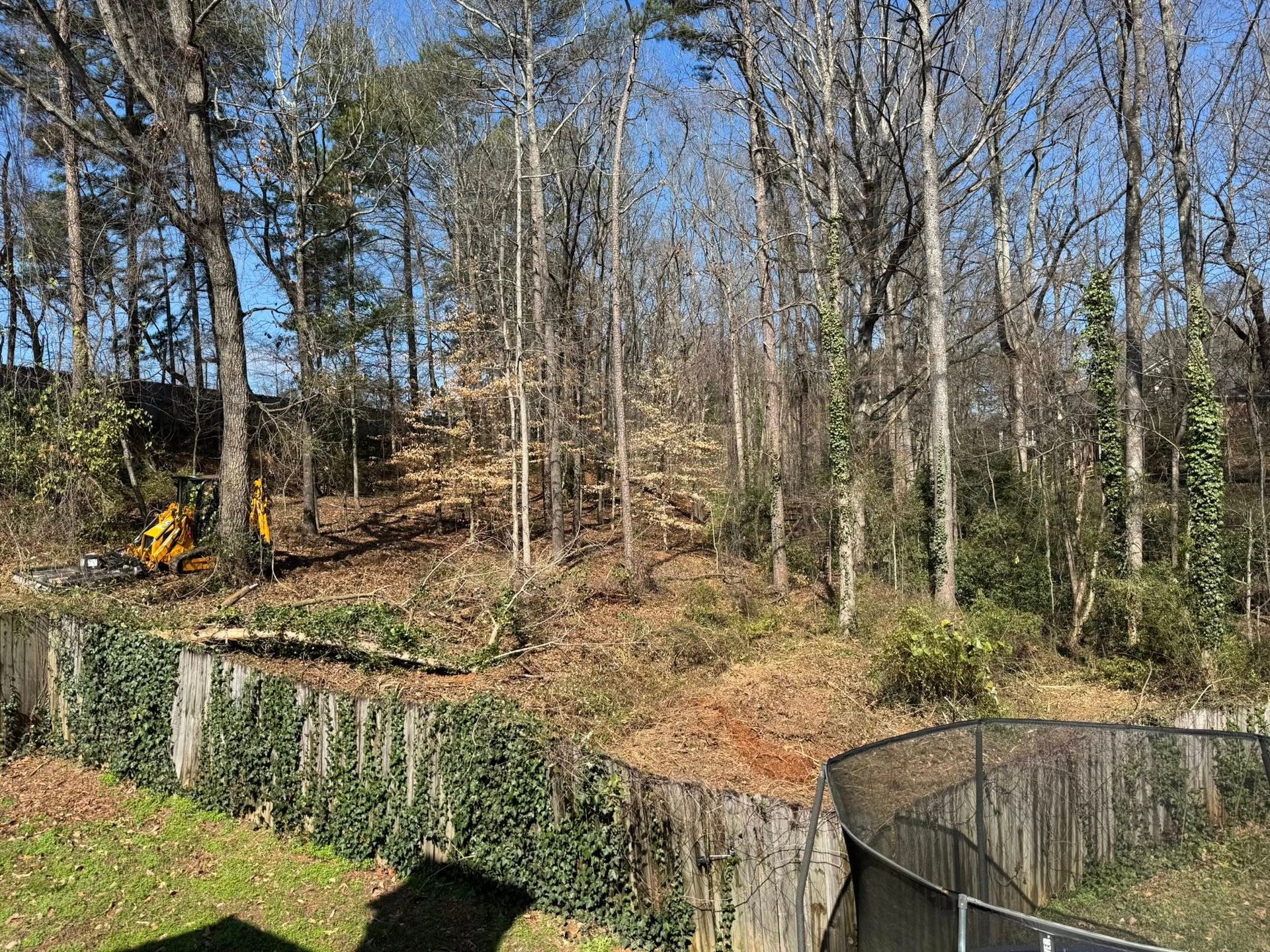 Wooded hillside with leafless trees, a yellow machine, and a black fence along a path