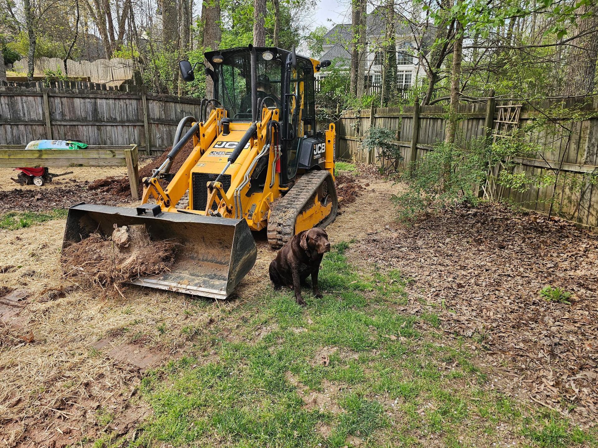 Yellow backhoe loader moving dirt in a fenced backyard with trees and a small fire pit