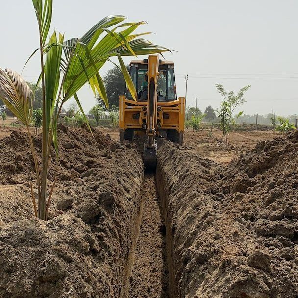 Excavator digging a narrow trench between rows of young palm trees in a dirt field.
