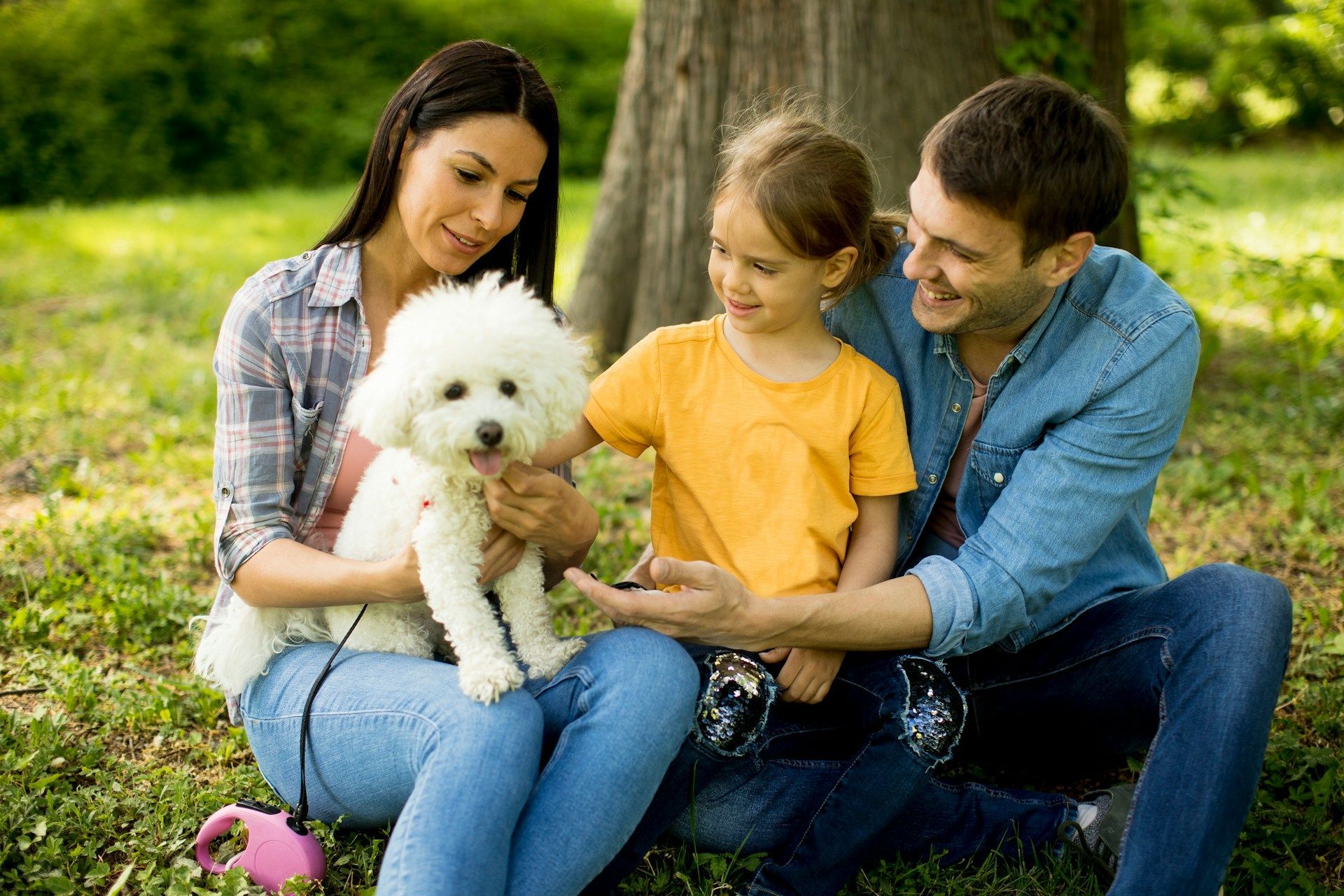 Family sitting on grass in a park, smiling and holding a fluffy white dog