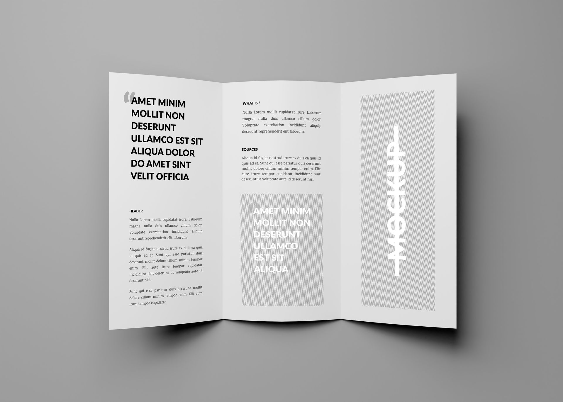 Open trifold brochure mockup on a gray background; white pages with text and graphics.
