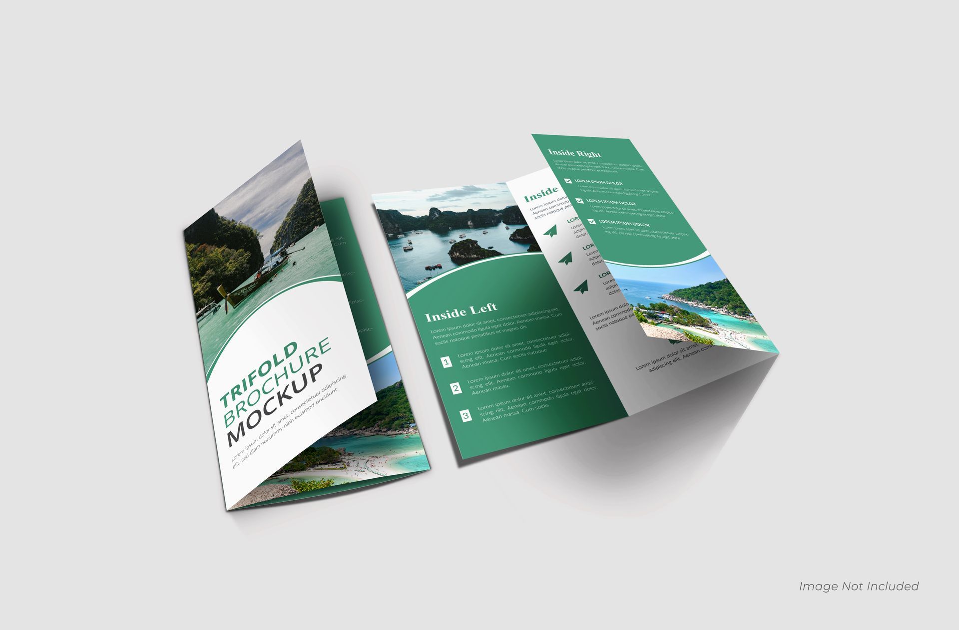 Tri-fold brochure mockup on a light gray surface, with green and white design and nature imagery.