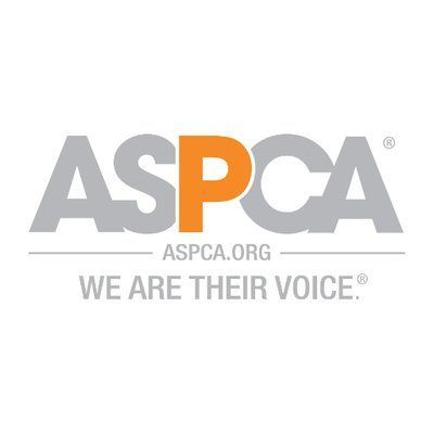 ASPCA logo: Gray text with orange 
