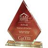 A red diamond shaped trophy on a white background.
