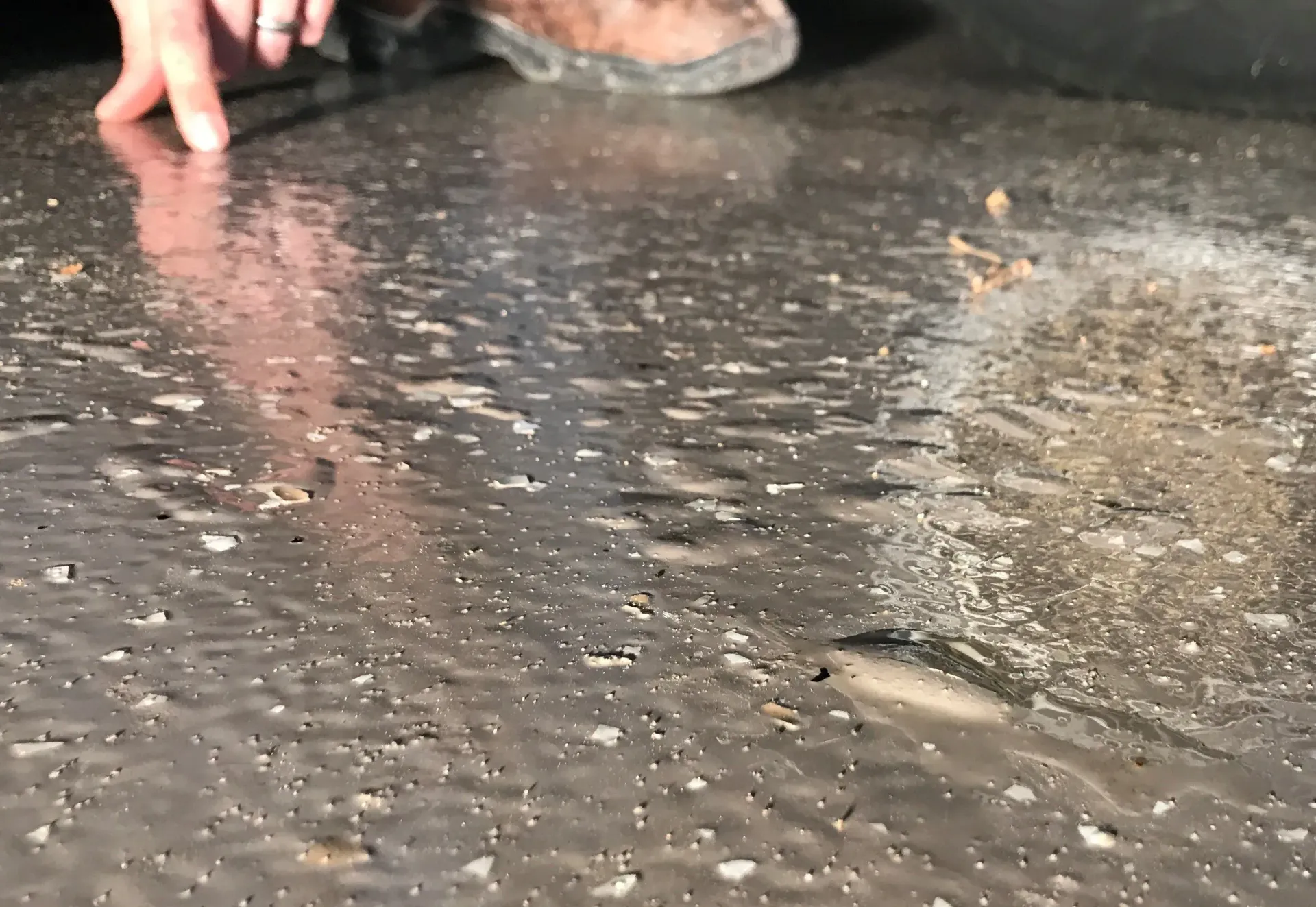 A person is standing in a puddle of water.