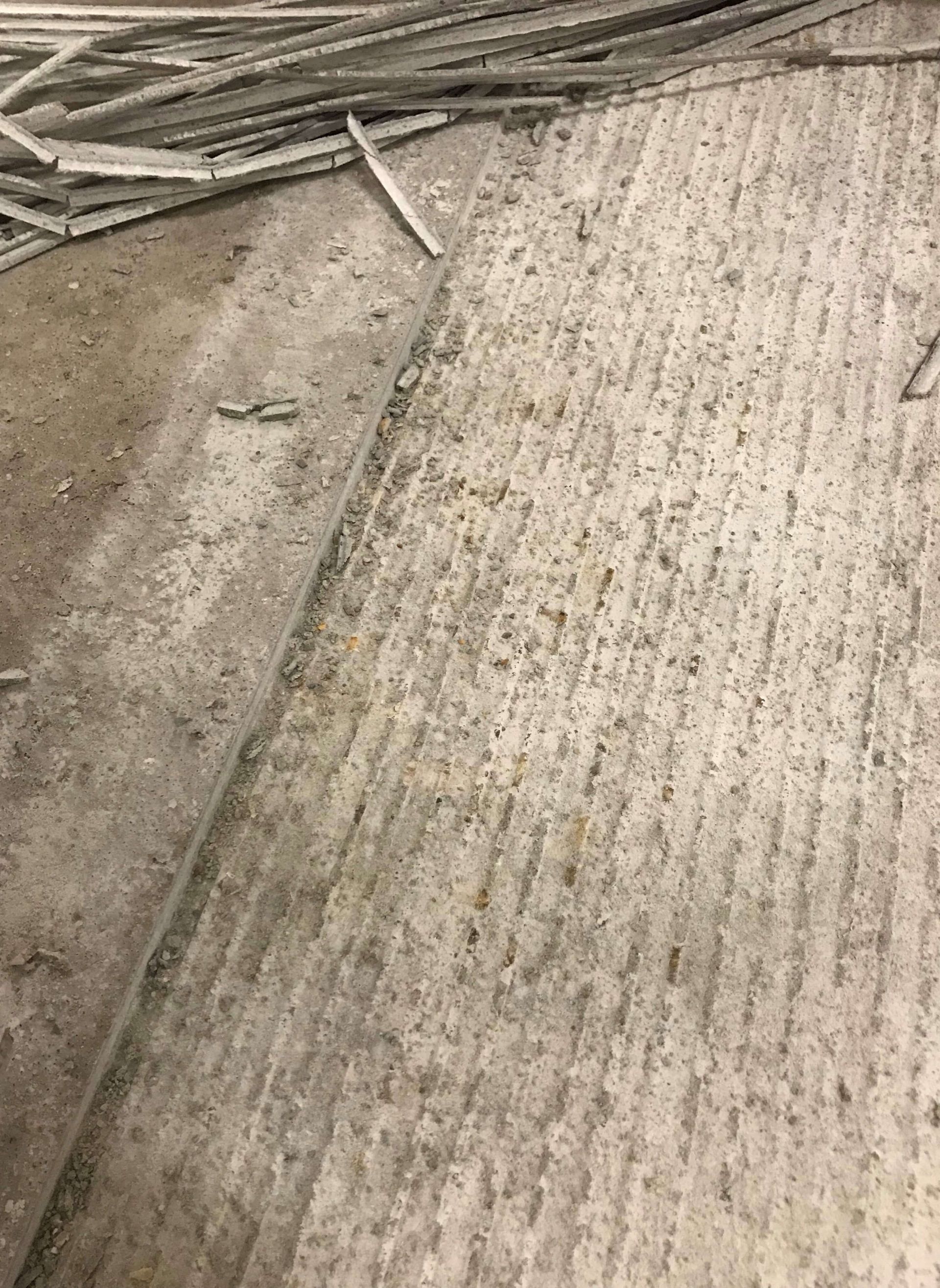 A close up of a piece of wood on a concrete floor.