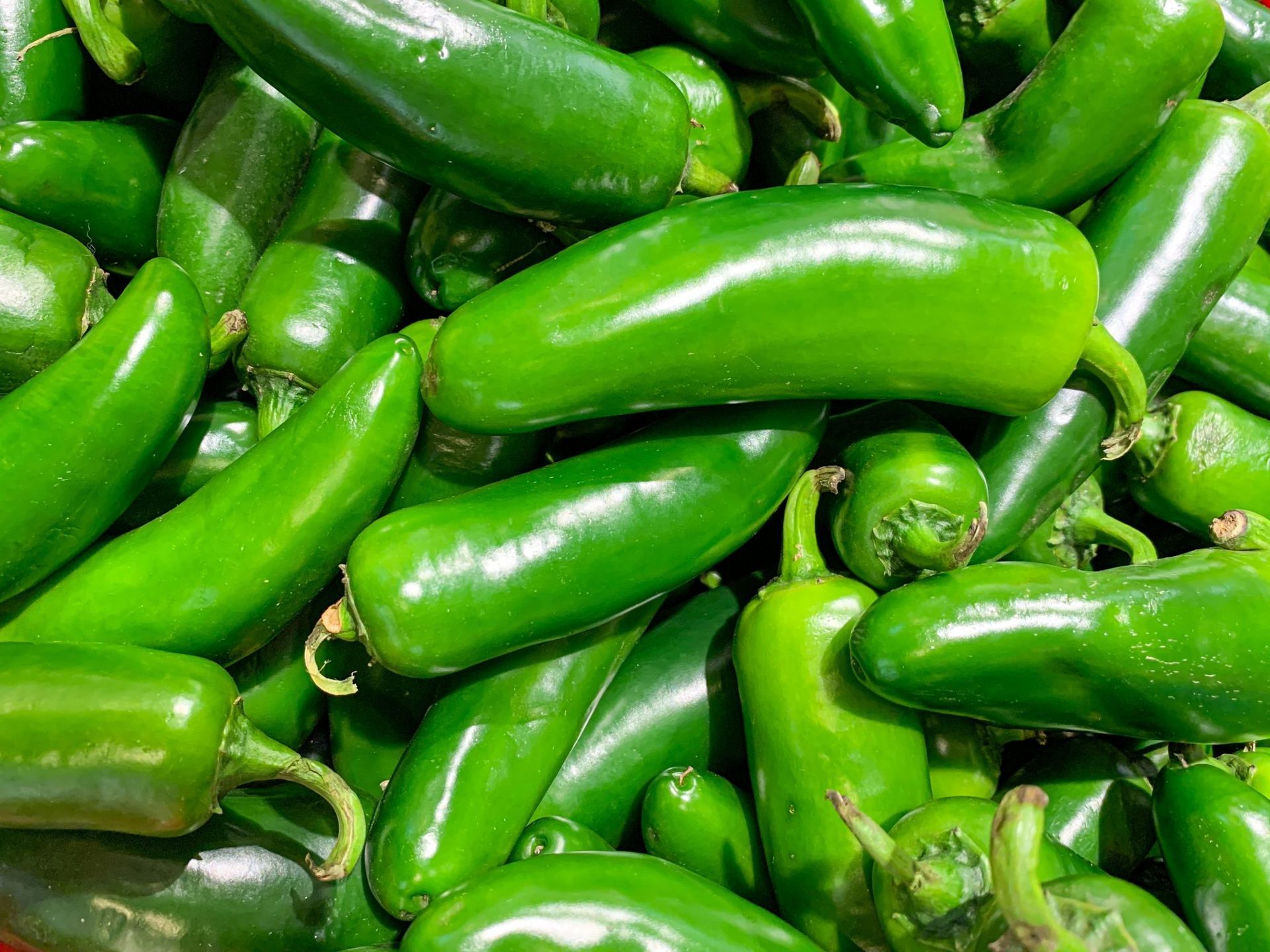 Pile of fresh green jalapeño peppers