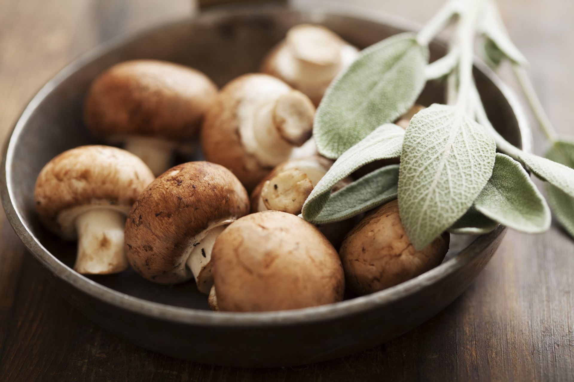 Mushrooms in a bowl with green sage leaves