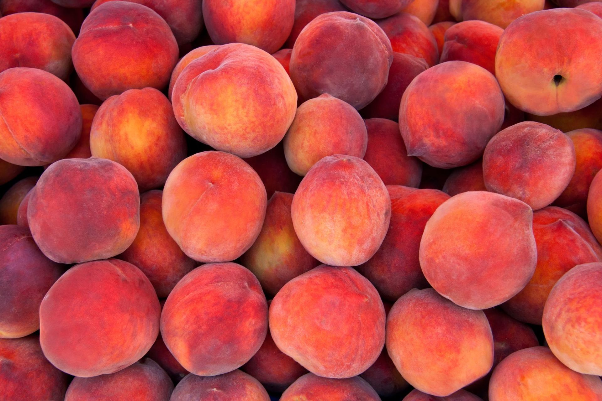 Pile of ripe peaches