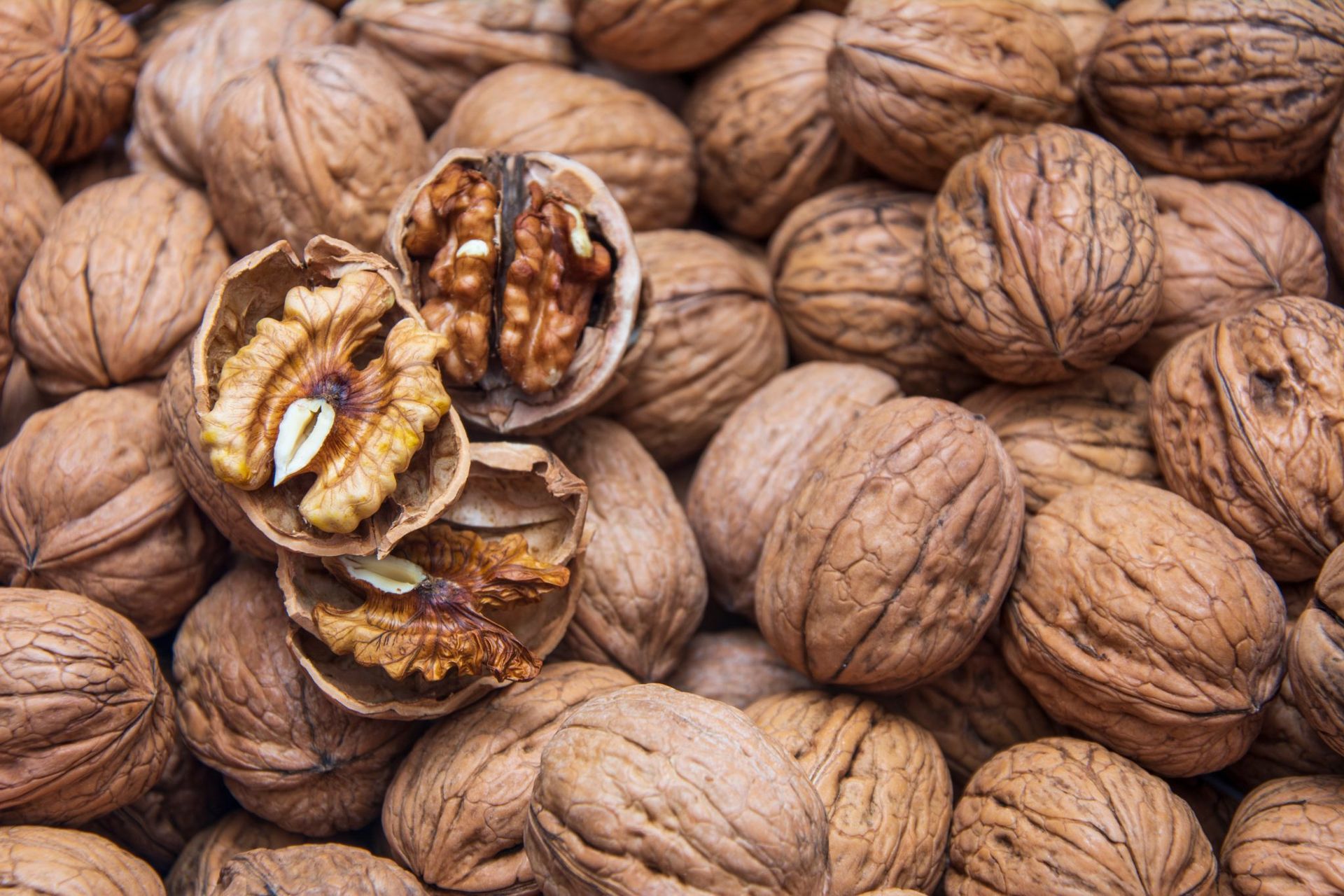 Walnuts in shell with two cracked open halves