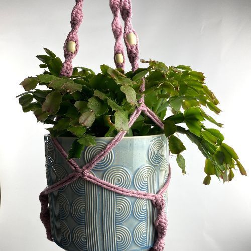 Plant hanger made from 4mm pink cotton cord