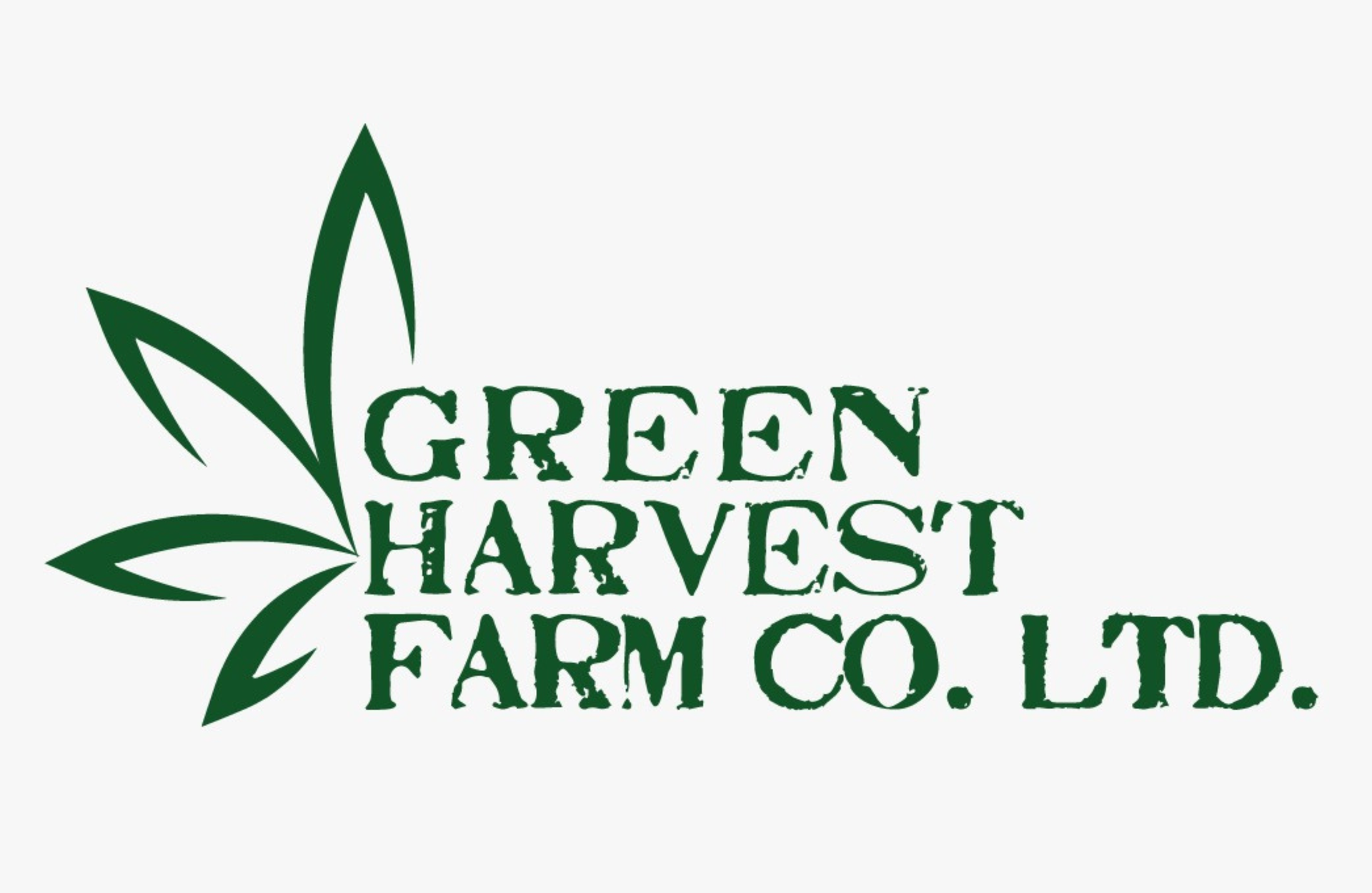 thailand cannabis farm branding design project social media website