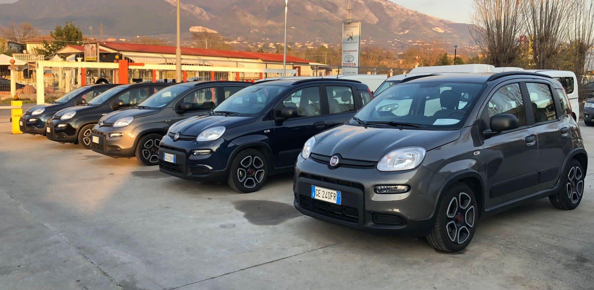 Fiat Panda