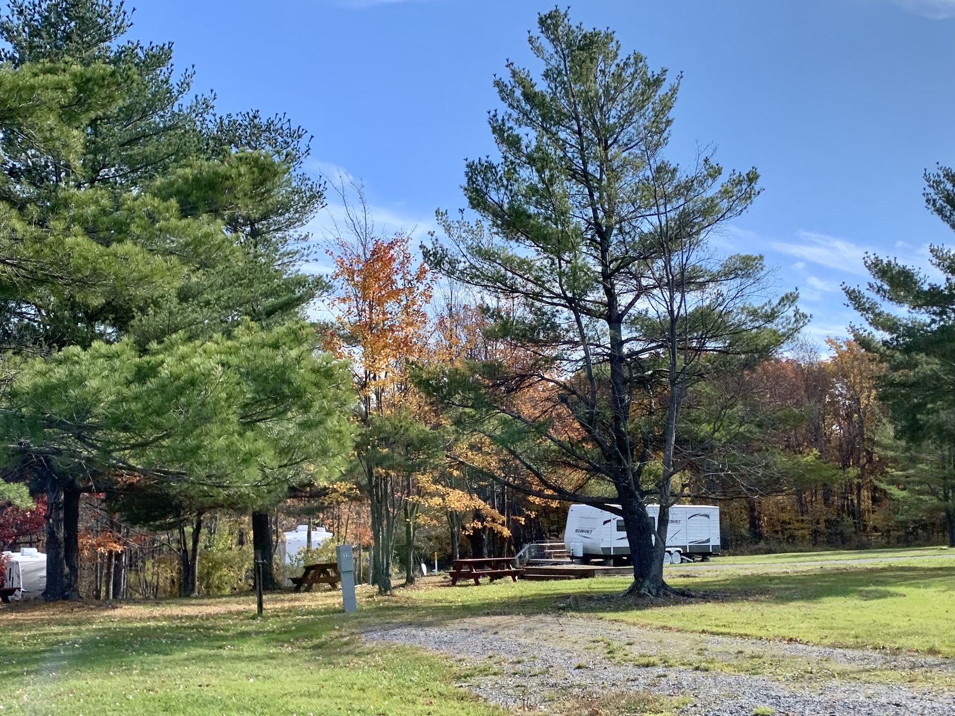 Policies Stay Bristol Woodlands