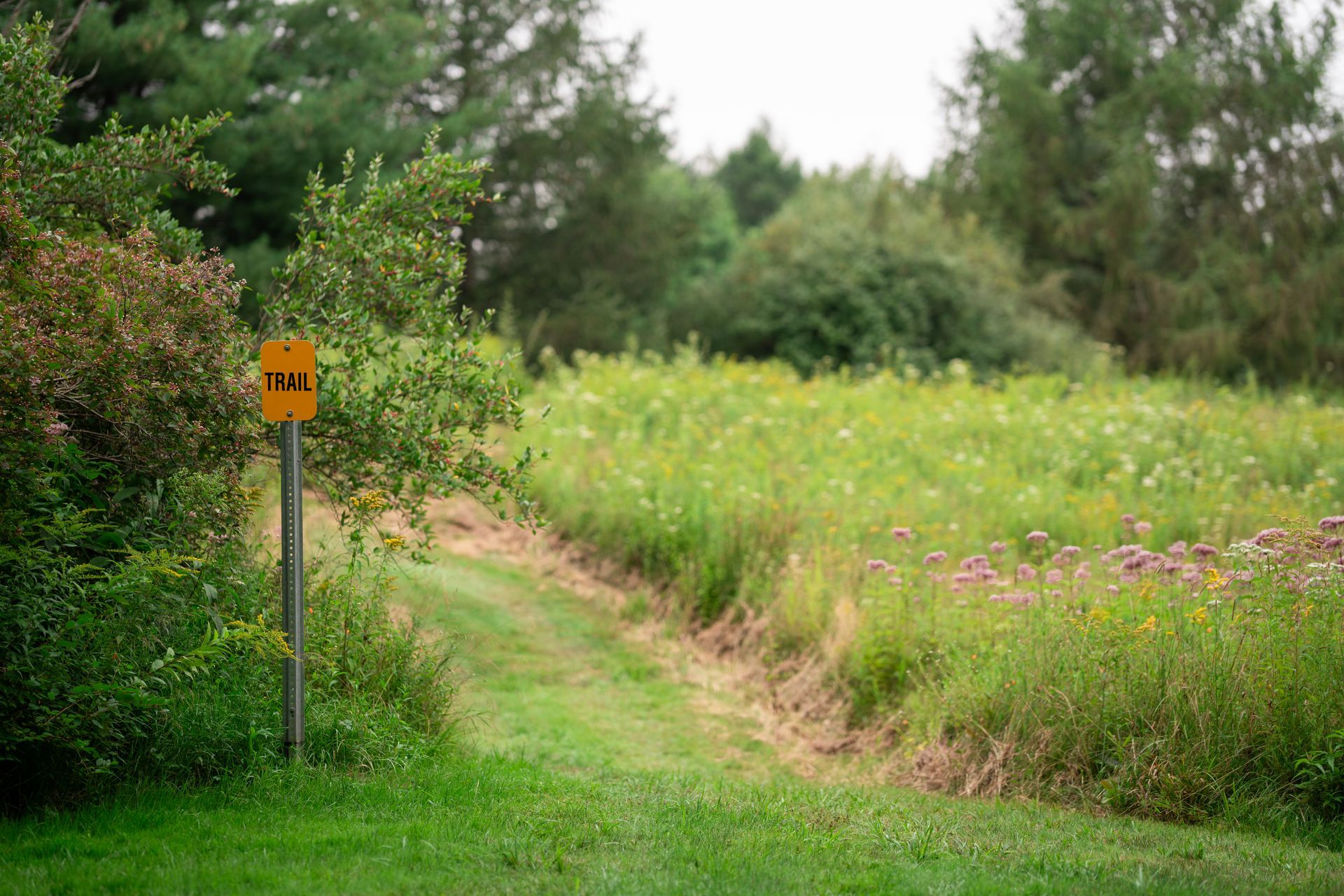 hiking-trails