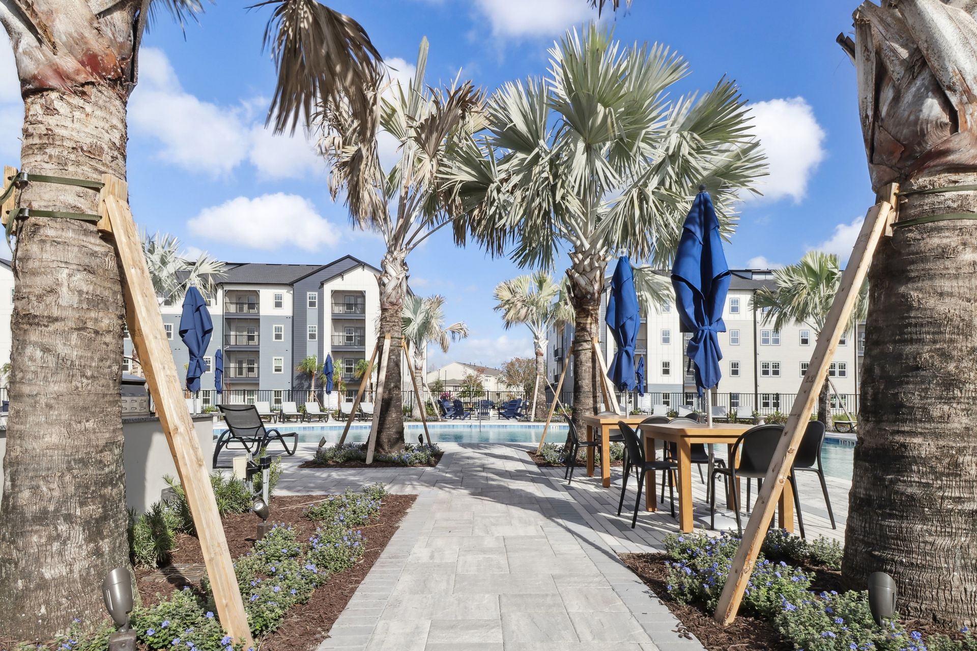 Gallery Avida Apartments in Orlando, FL