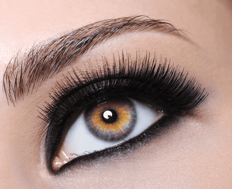 upper-and-lower-liner