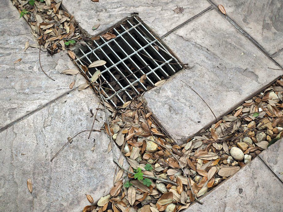 French Drain