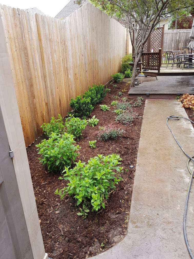 A backyard with a wooden fence and lots of plants growing in the dirt.