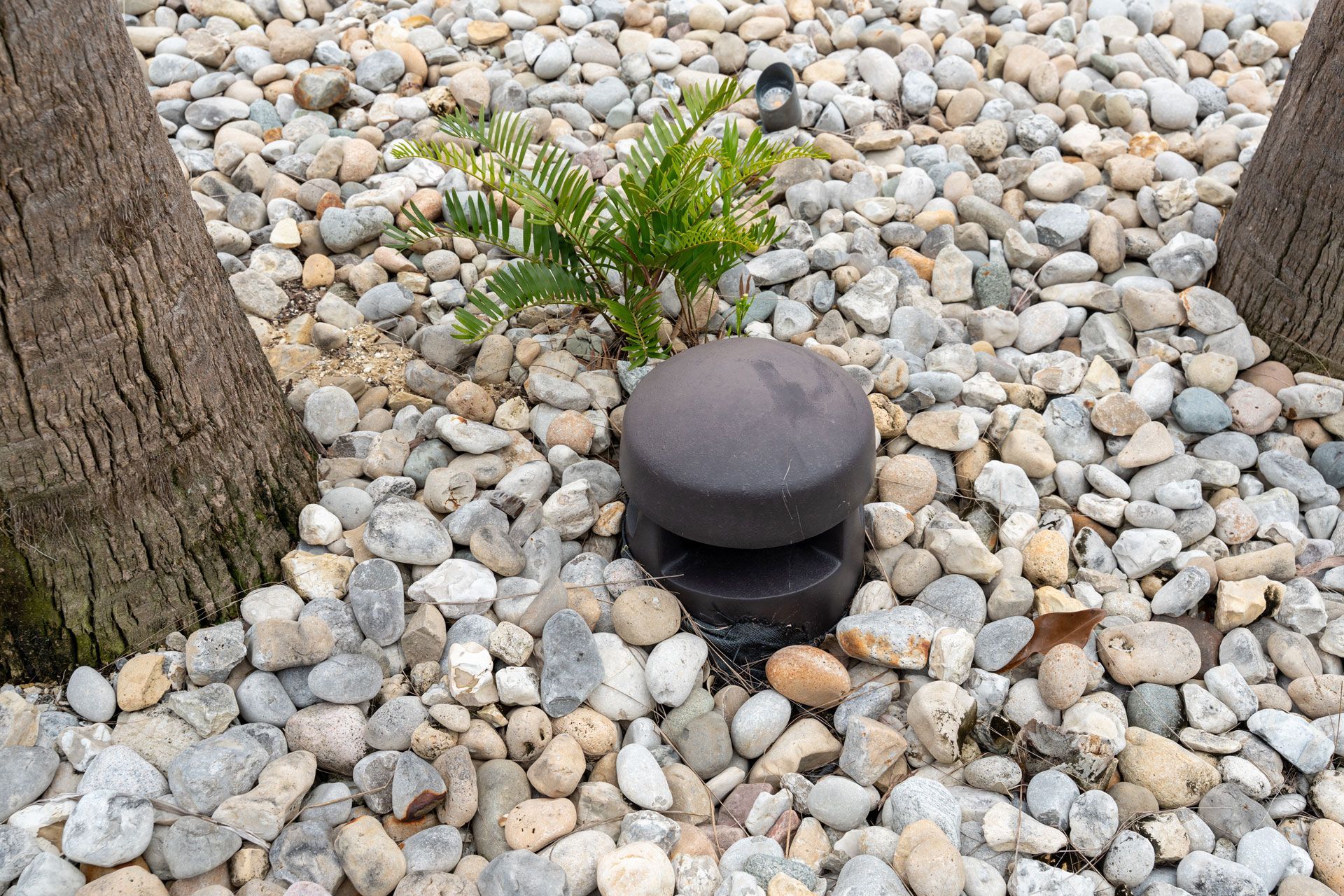 Small black garden light among white pebbles beside two tree trunks and a green plant