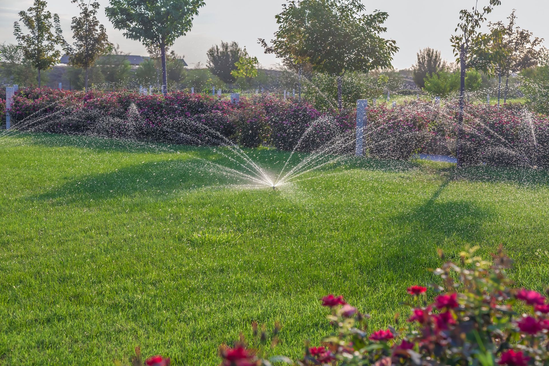 Sprinkler watering a lush green lawn with colorful flowers and trees in the background