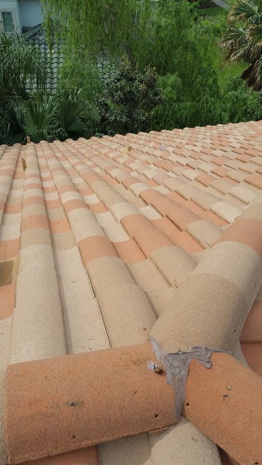 Clay tile roof with orange and tan tiles, greenery in the background.