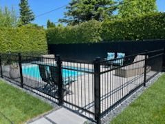 A black fence surrounds a swimming pool in a backyard.