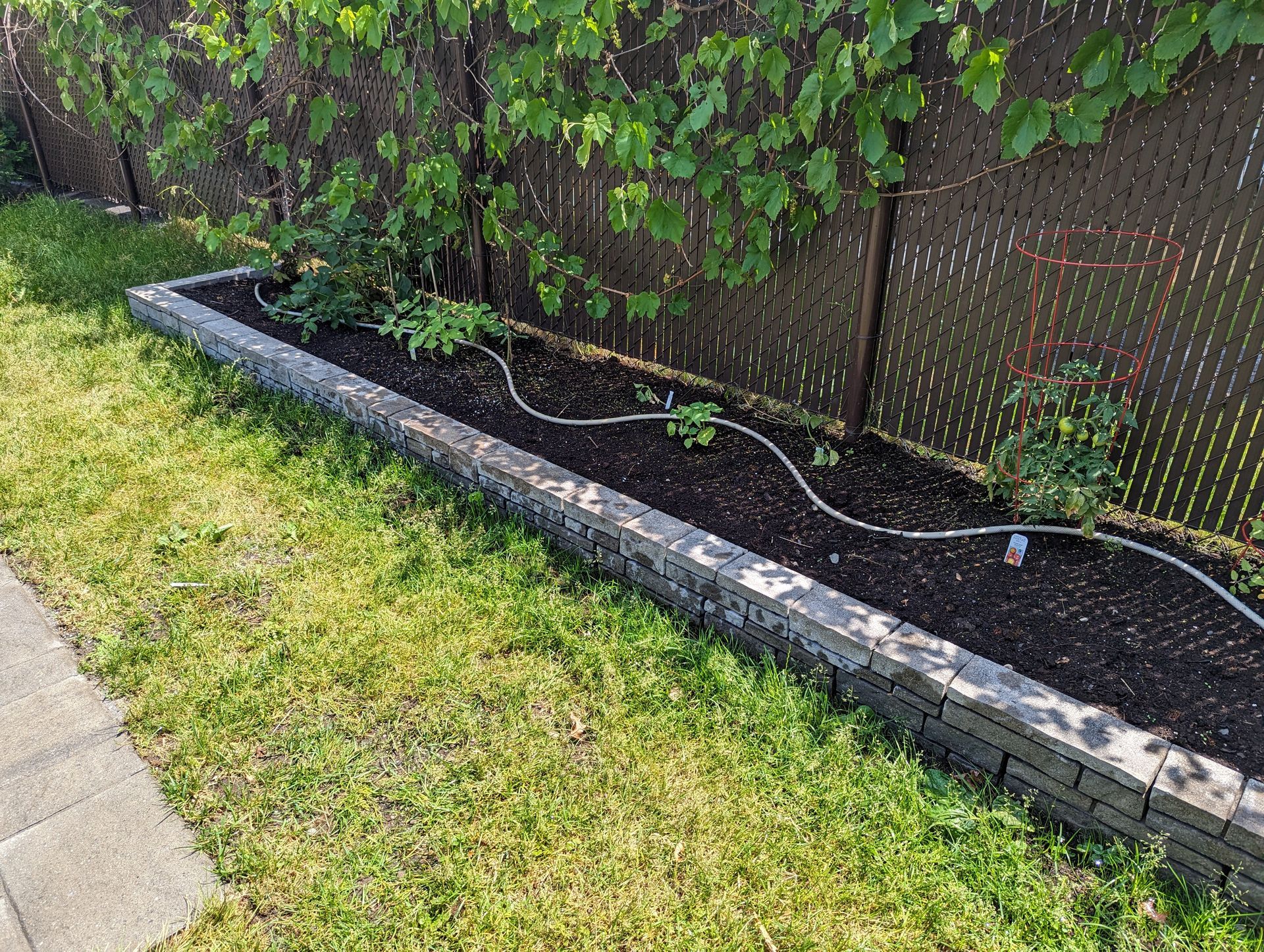 A garden bed with a hose attached to it in a backyard next to a fence.