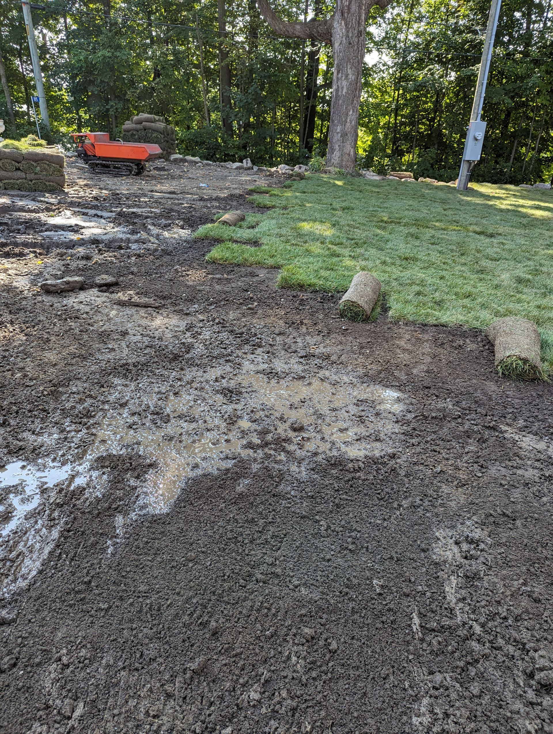 A pile of dirt and grass in a yard with trees in the background.
