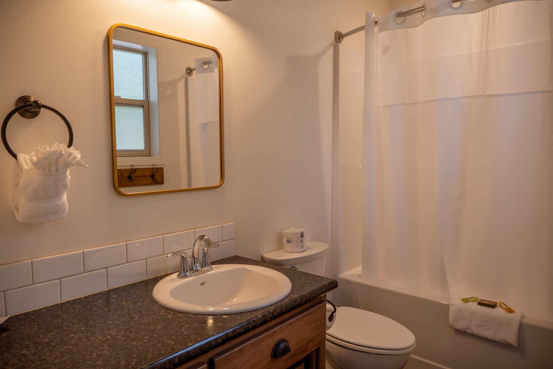 A bathroom with a sink , toilet , shower and mirror.