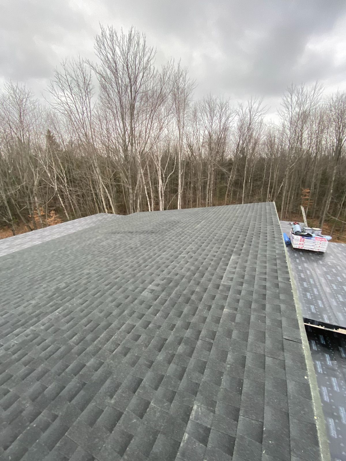Rooftop with dark gray shingles beside a wooded area under an overcast sky