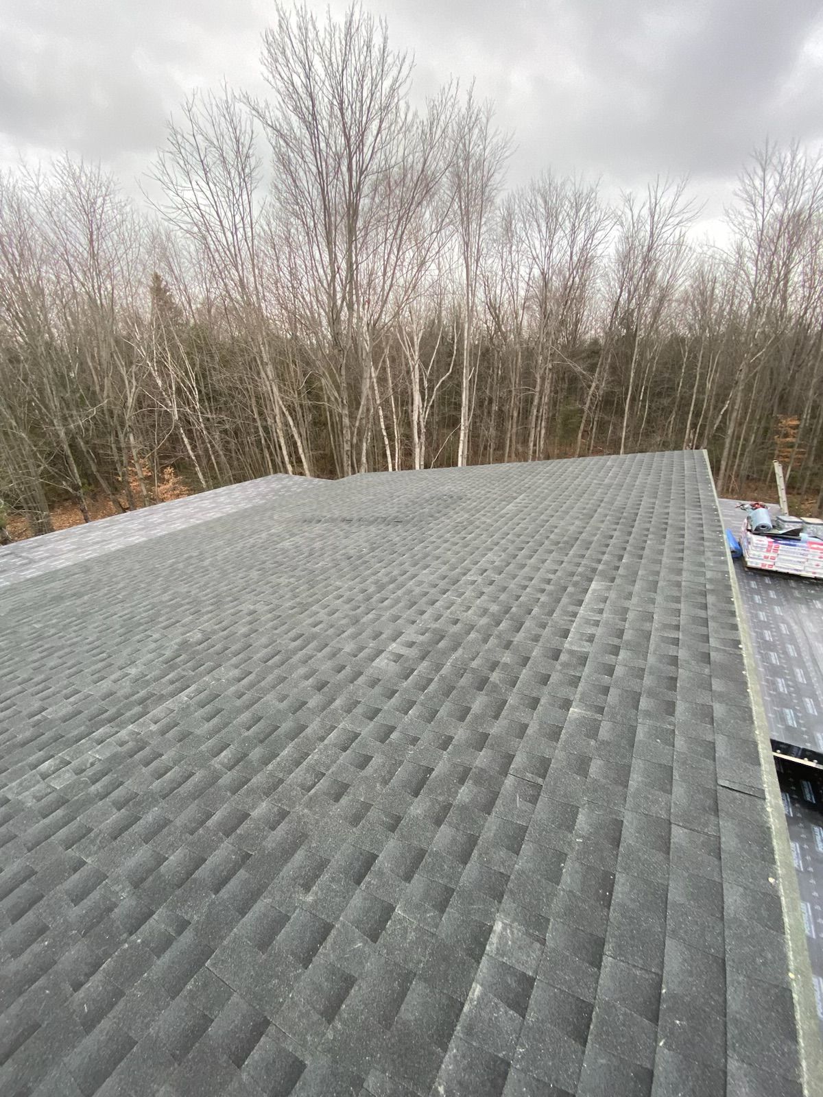Gray shingled roof under overcast sky, with bare trees in the background and a small roof section visible at right