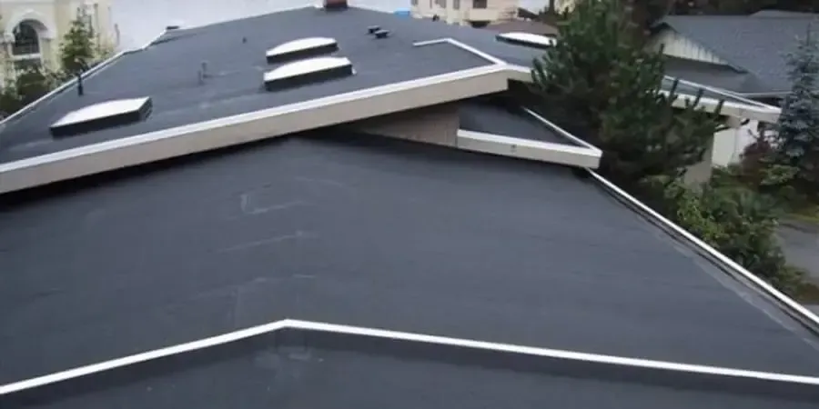 Flat black rooftop with skylights and neighboring houses in the background