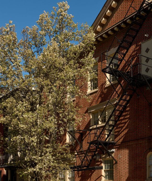 Building exterior at Delancey Place